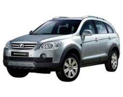 Daewoo Winstorm C100