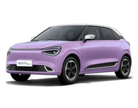 Dongfeng Nammi 01