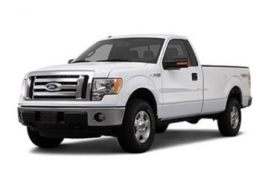 Ford F-150 XII (P415)