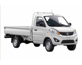 Foton Gratour T3
