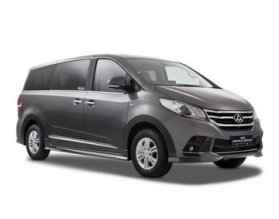 LDV G10