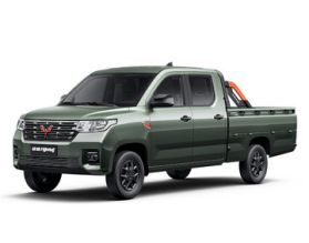 Wuling Fighting