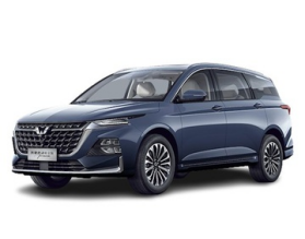Wuling Victory CN220M