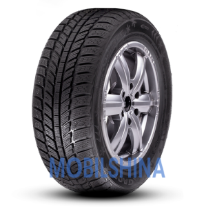 Зимові шини 205/55 R16 Roadx RXFrost WH01 205/55 R16 91H