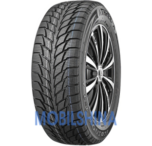 Легковые шины Tercelo EcoSnow 4X4 215/70 R16 100T