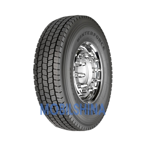 WinterForse (ведущия) - фото 1