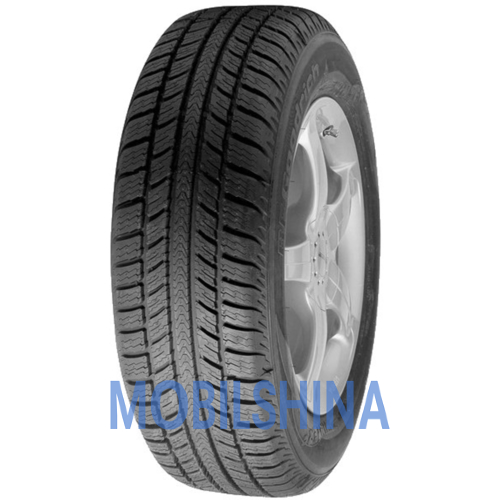 Winter G - фото 1