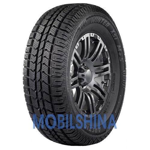 Winter XSI - фото 1