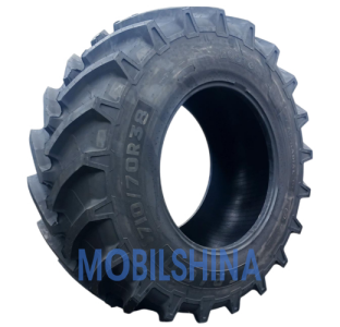 Летние и всесезонные шины Bostone TR100 (с/х) R38-R42