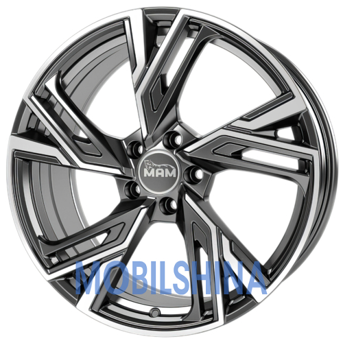 RS5 - фото 1