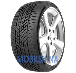 Легкові шини Funtoma Roadfun Winter R13-R15