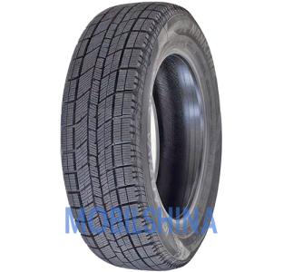 Легкові шини Nankang Ice Activa AW-1 R14-R18
