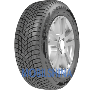 Легковые шины Otani WE1000 R14-R16