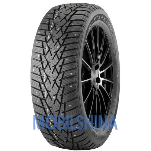 Doublestar WINTERKING DW01 - фото 1