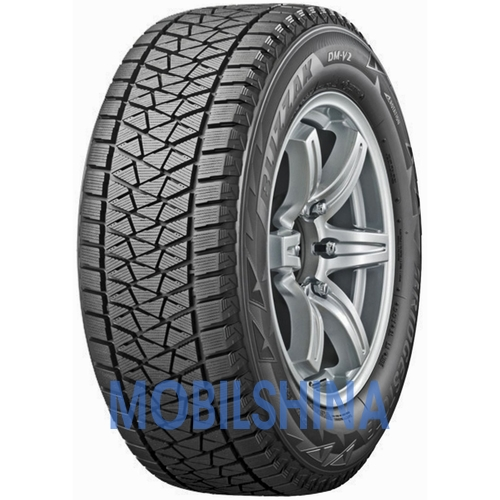 Bridgestone Blizzak DM-V2 - фото 1