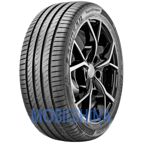 RapidDragon - фото 1