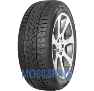 Легкові шини Minerva Frostrack UHP R18