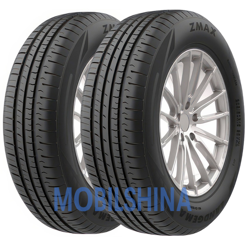 Zmax Landgema - фото 1