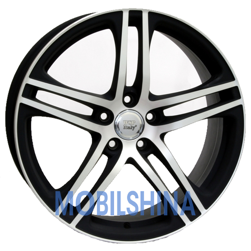 Audi (W556) Paul - фото 1