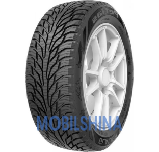 Шини Petlas Petlas Glacier W661 R14-R17