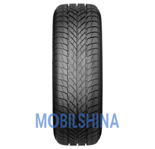 Легкові шини Paxaro INVERNO 225/45 R18 95V XL