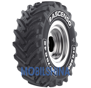 Шини Ascenso XLR 880 (с/х) R28-R42 Шини Ascenso XLR 880 (с/х) R28-R42