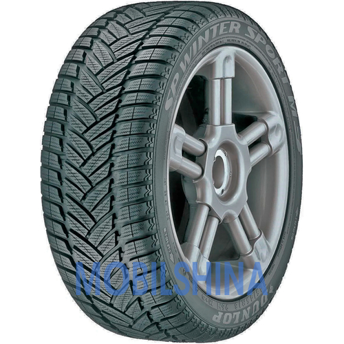 SP Winter Sport M3 - фото 1