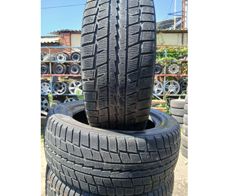 Dunlop Graspic DS2 225/55 R17 97Q