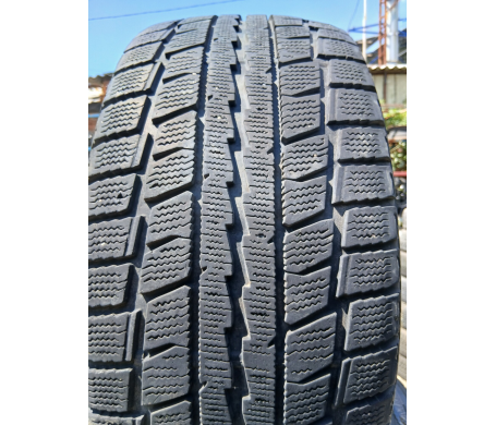 Dunlop Graspic DS2 225/55 R17 97Q
