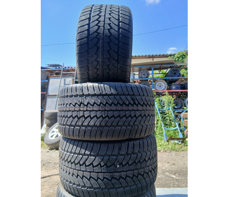 Nokian WR 295/35 R18 99V