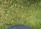 Premiorri Solazo 185/70 R14 88H