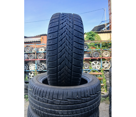 Pirelli Carrier Winter 245/55 R16 100H
