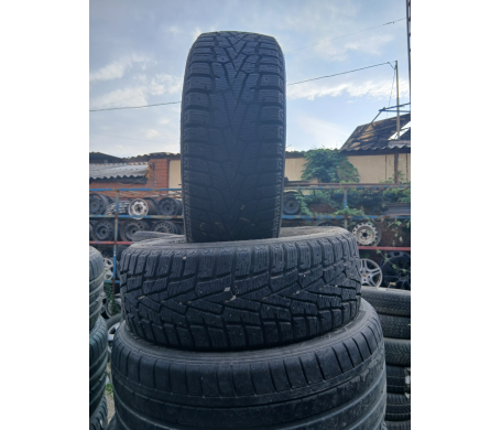 Nexen WinGuard WinSpike 3 195/55 R15 89T