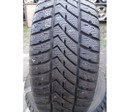 Vredestein Wintrac Ice 225/55 R17 101V