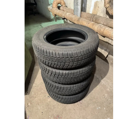 Gislaved Euro Frost 6 195/65 R15