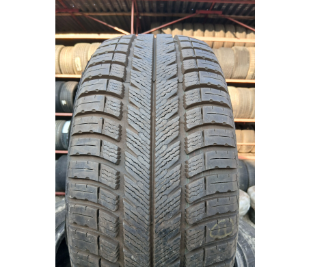 Goodyear Eagle Vector EV-2+ 225/55 R16 95V
