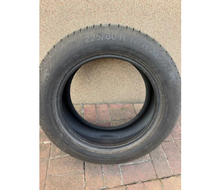 Gislaved Euro Frost 6 225/60 R17