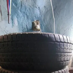 Hankook Winter I*Cept Evo 2 SUV W320A 225/75 R15