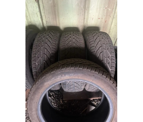 Taurus 201 Winter 205/50 R17
