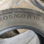 Continental ContiWinterContact TS 790 205/60 R16