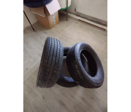 Bridgestone Duravis All Season 225/65 R17