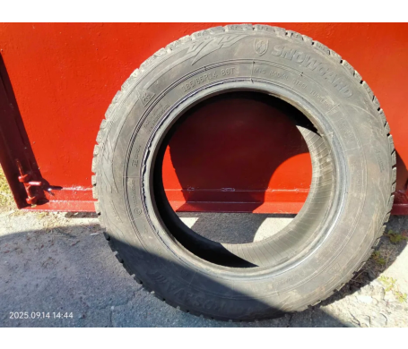 Росава Snowgard 185/65 R14