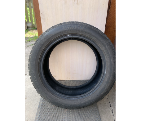 Taurus 201 Winter 205/55 R16 94H