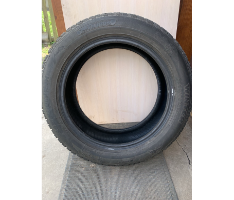 Taurus 201 Winter 205/55 R16 94H
