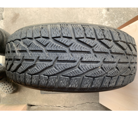 Taurus 201 Winter 205/55 R16 94H