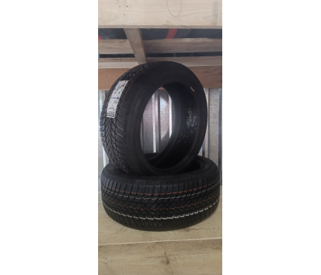 Bridgestone Blizzak LM005 255/45 R20 101T
