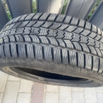 Sava Eskimo HP2 195/55 R15 85H
