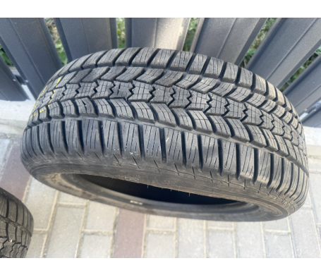 Sava Eskimo HP2 195/55 R15 85H
