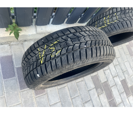 Sava Eskimo HP2 195/55 R15 85H