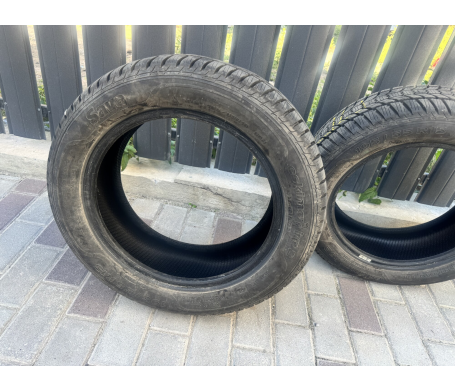 Sava Eskimo HP2 195/55 R15 85H